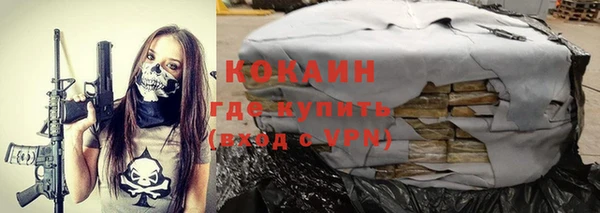 соль ск Богданович