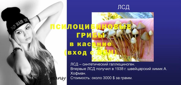 прущая мука Белоозёрский