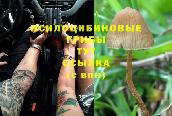 прущий лед Белокуриха