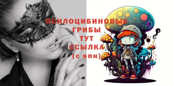 дмт Богородицк