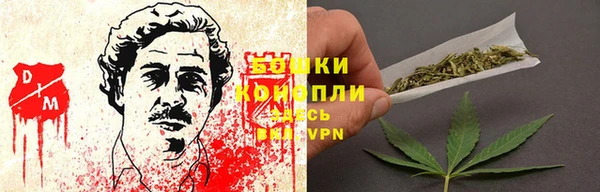 соль ск Богданович