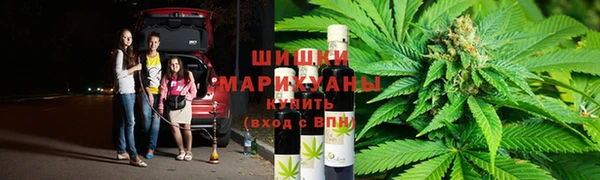 соль ск Богданович
