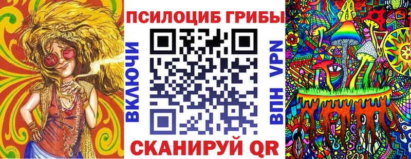 Псилоцибиновые грибы Magic Shrooms  мега ONION  Гудермес 