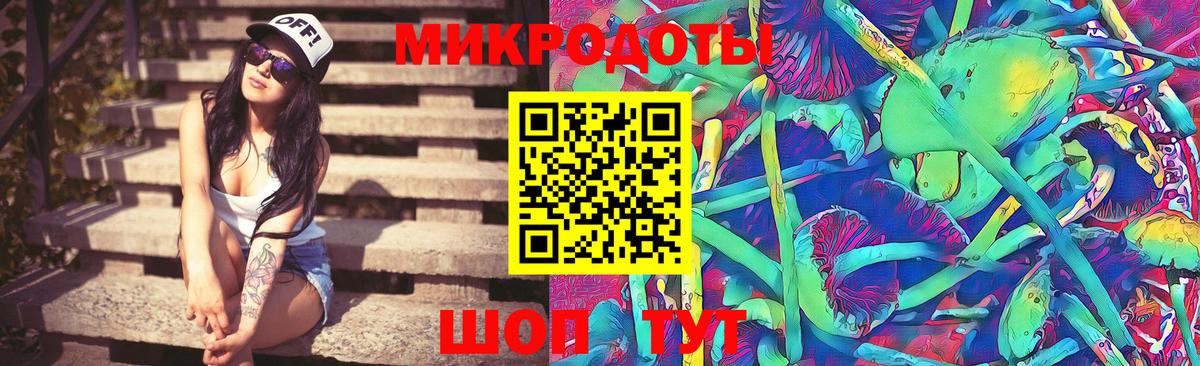 Псилоцибиновые грибы Psilocybe  Вход с VPN  Гудермес 